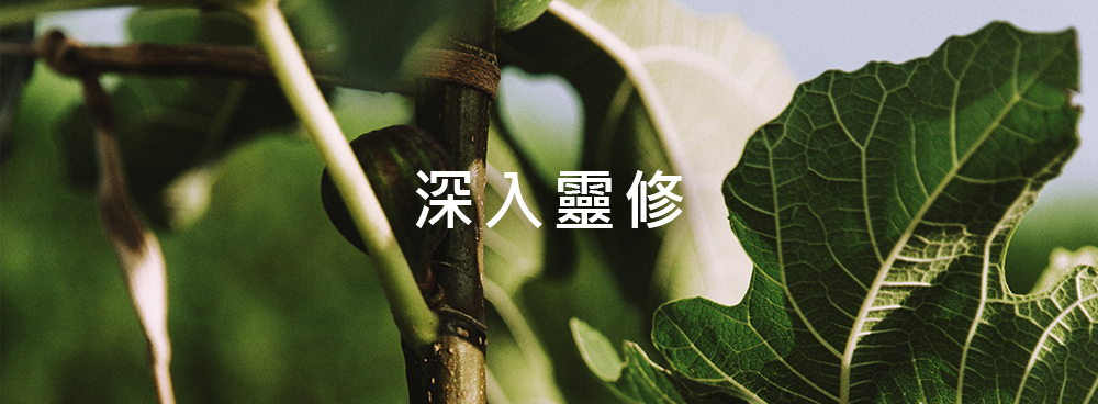 信徒與教員研讀專區