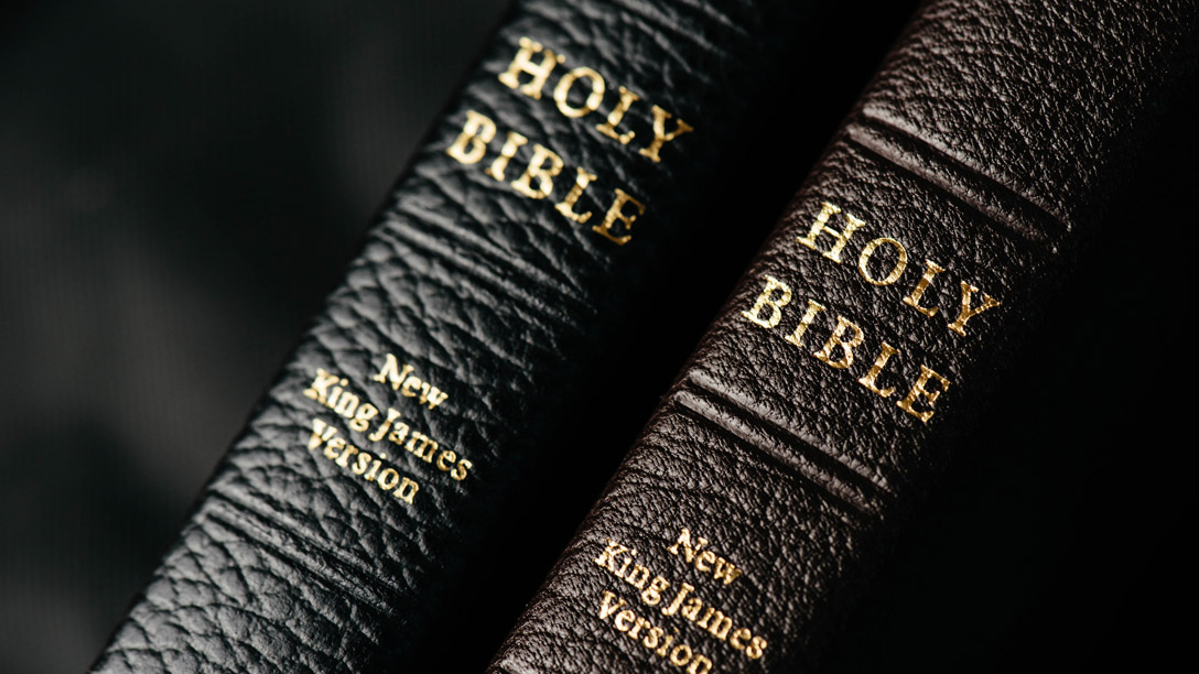 進入聖經的世界(下)