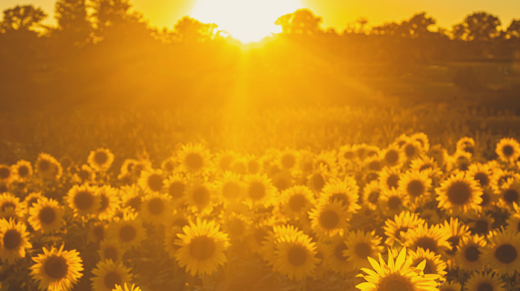 「讚美詩源考之八十一」訪 方顗茹傳道