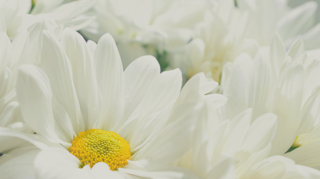 「讚美詩源考之八十二」訪 方顗茹傳道