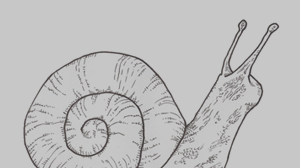 「是蝸牛開始的！」──繪本分享