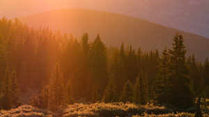 有神蹟証實所傳的道