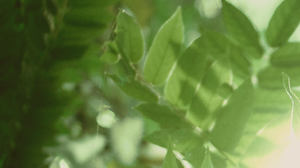 「唯有耶穌掌管生命」訪鄭佩君姐妹