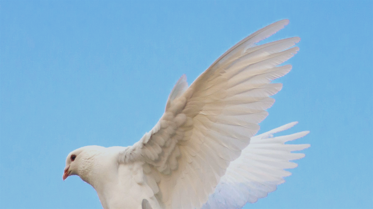 「受聖靈的奇異恩典」訪孫婉容姐妹