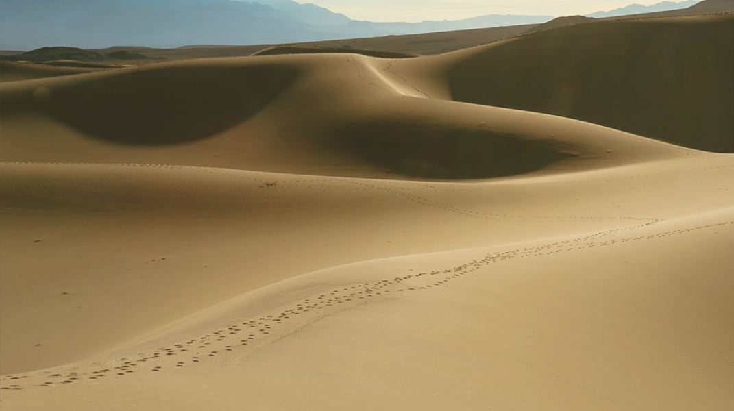 「何等佳美的腳蹤」訪楊建章執事