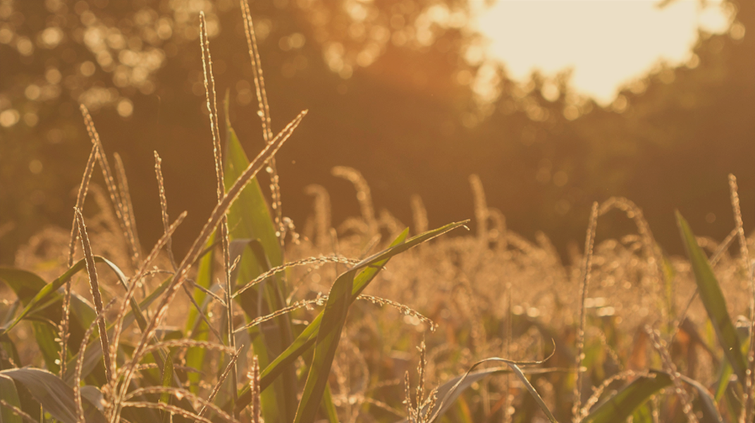 「主耶穌救了我的孩子」 訪 游美玉姐妹（1）