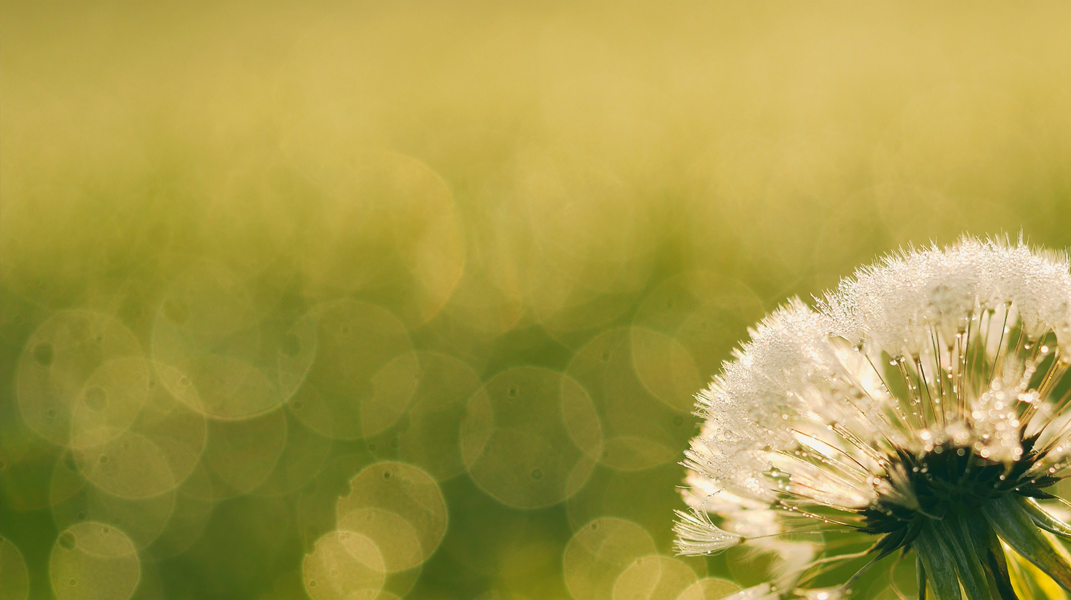 神奇妙的帶領(上) 訪員林教會賴素溱 蕭佳芸姊妹
