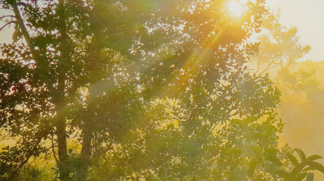 「生命因主有盼望」訪何麗雲姐妹