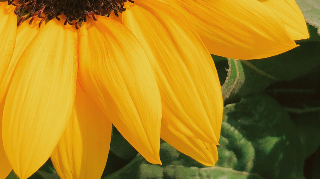 「灰暗人生，因主改變」訪 吳孟瀠姊妹（下）