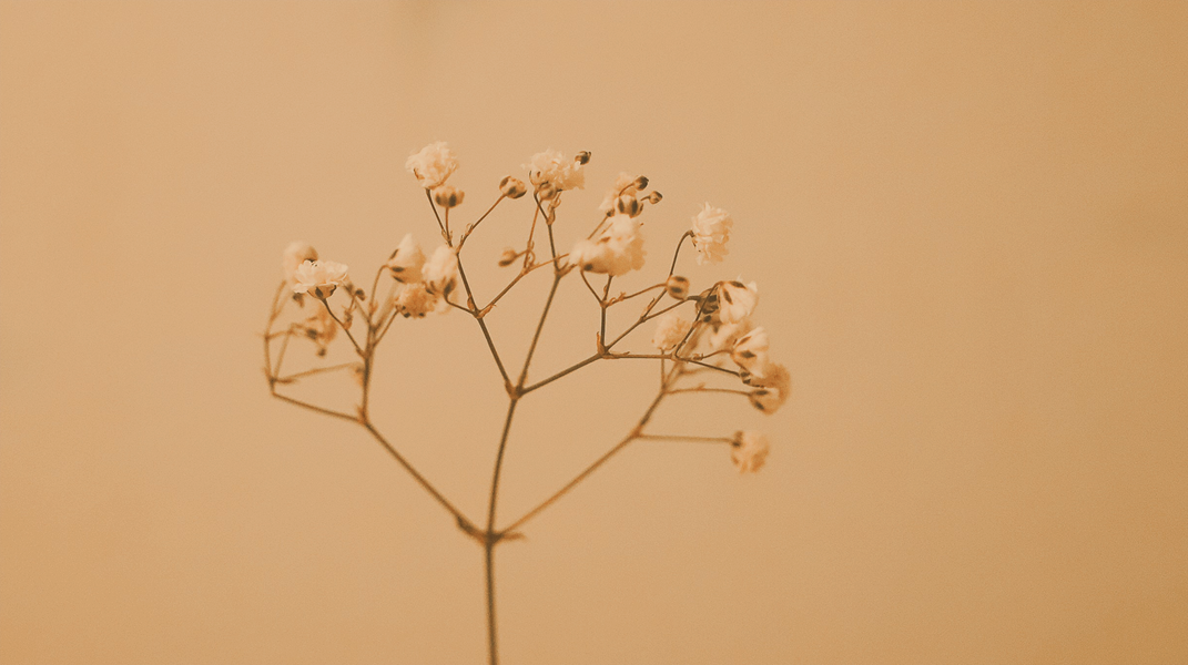 「讚美詩源考之六十九」訪 方顗茹傳道