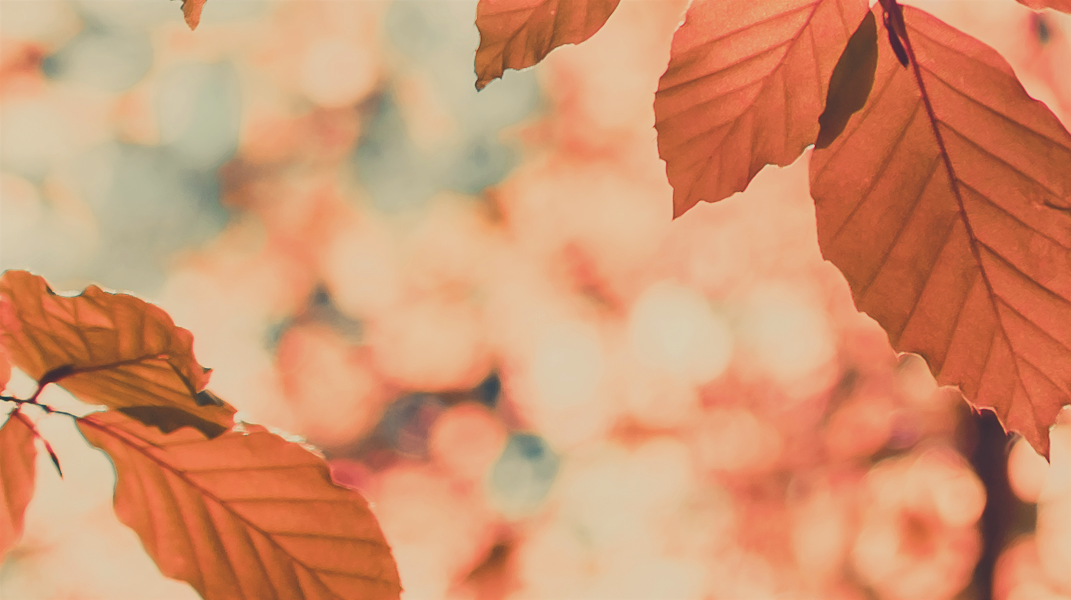 「更新的生命」訪 吳宜璉姐妹