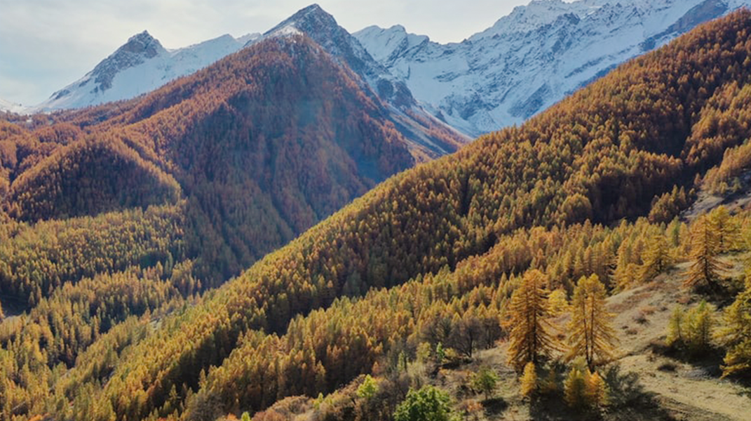 「耶穌是我堅固保障」訪 廖謙姊妹（上）