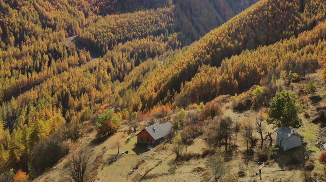 「耶穌是我堅固保障」訪 廖謙姊妹（下）