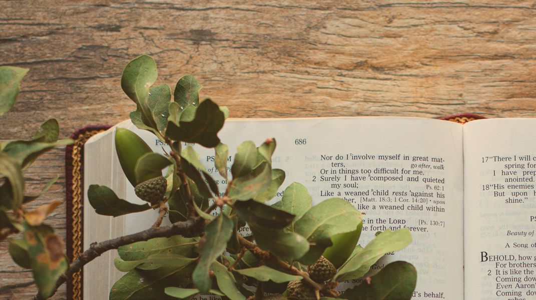 「蒙主引領的人生」訪 莊恩賜神學生