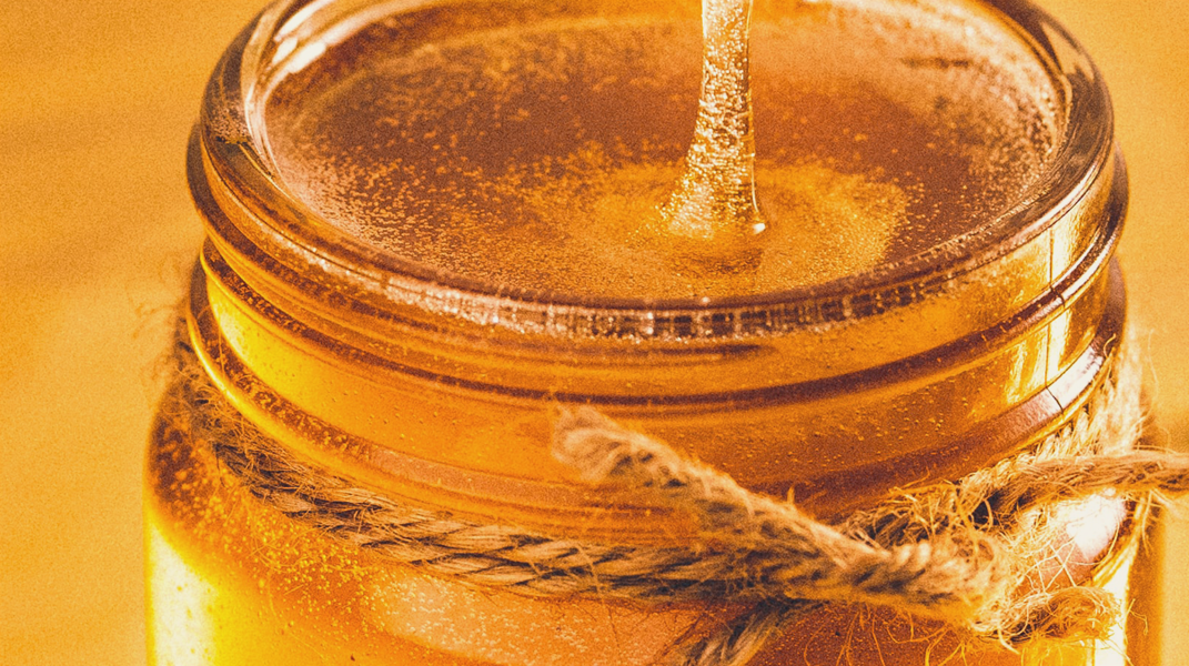 「大熊爵士的蜂蜜屋」──繪本分享