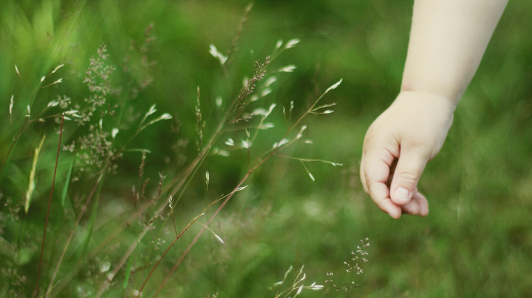 「耶穌看顧永穩妥」訪 楊曜仲弟兄