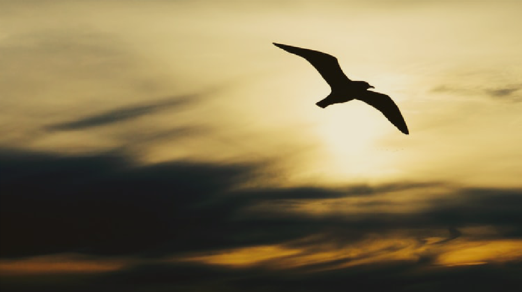 「恩典的記號」訪 柯姵丞姐妹