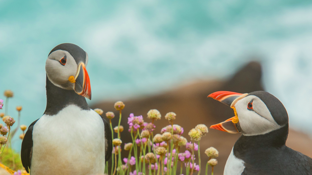 「氣飽飽」──繪本分享