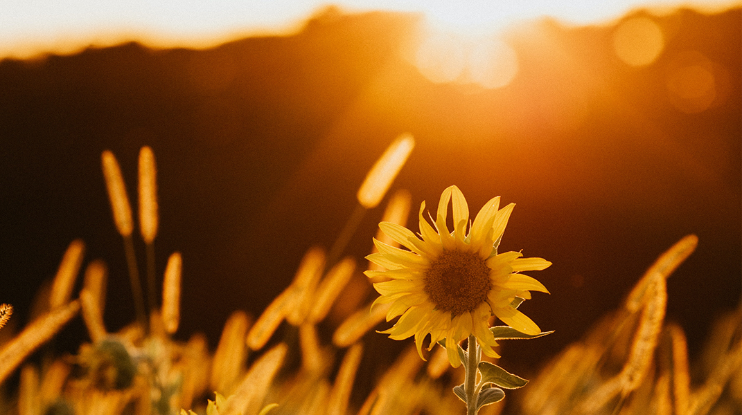 人生盼望全在真神 西門教會羅王桂珠執事娘