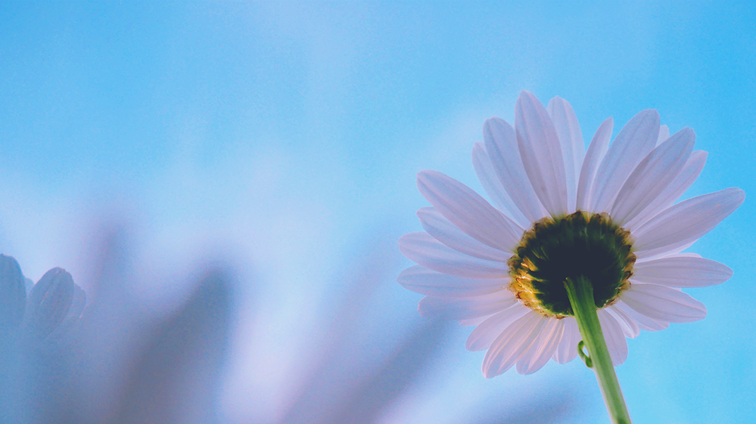 「萬邦中，神揀選了我」訪 葉秀花姐妹（下）