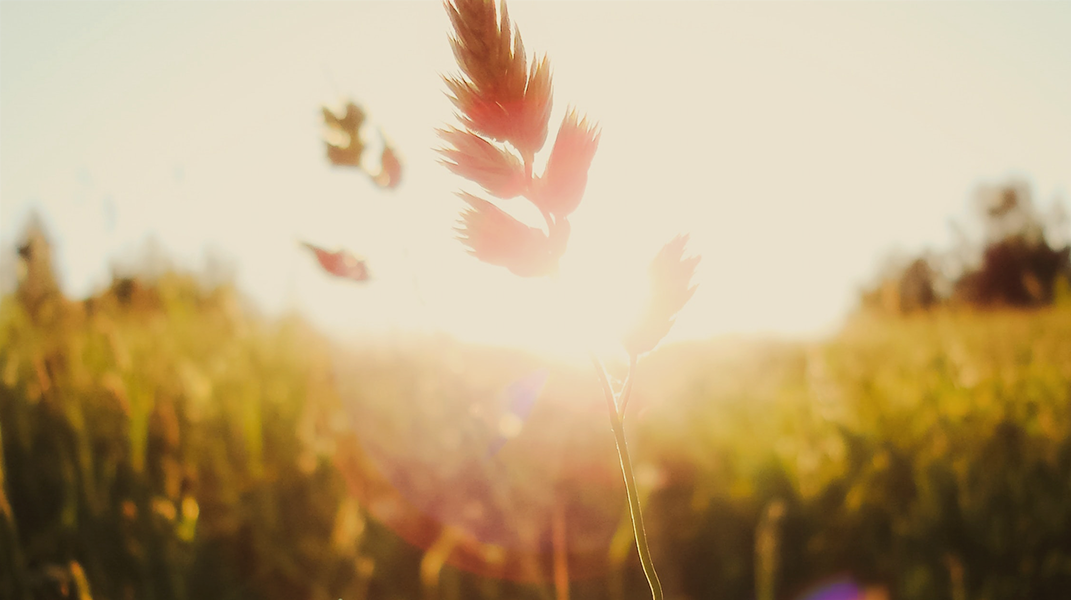 「讚美詩源考七十七」訪 方顗茹傳道