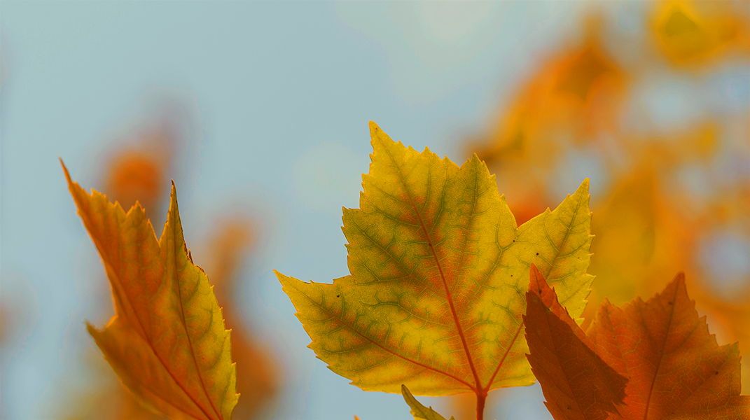 「看顧人的神2」訪 洪明澤弟兄