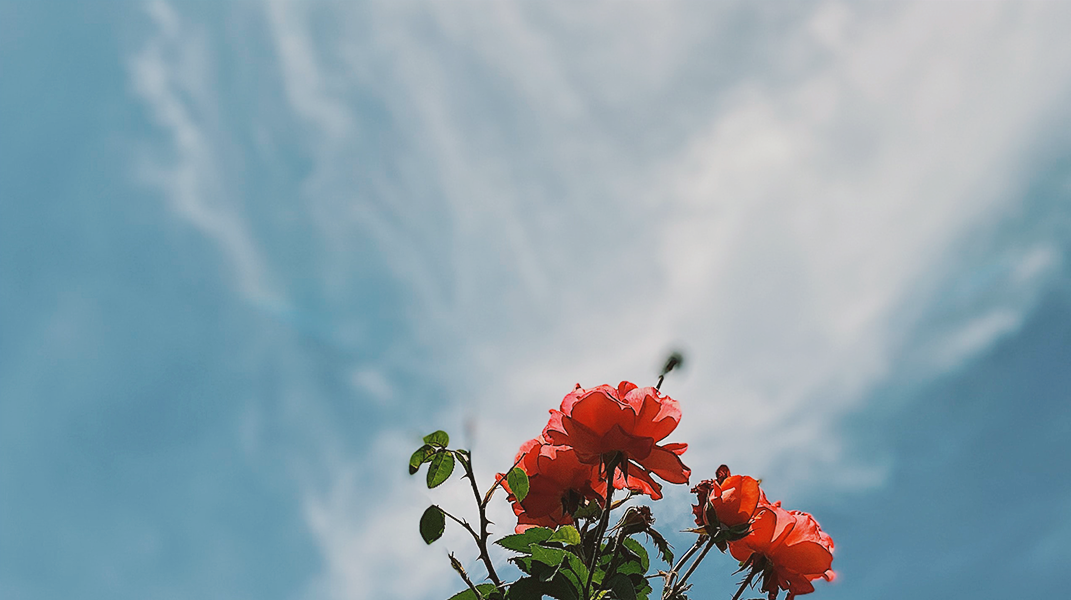 「神啊！有祢真好」訪 湯茂青姐妹(下)