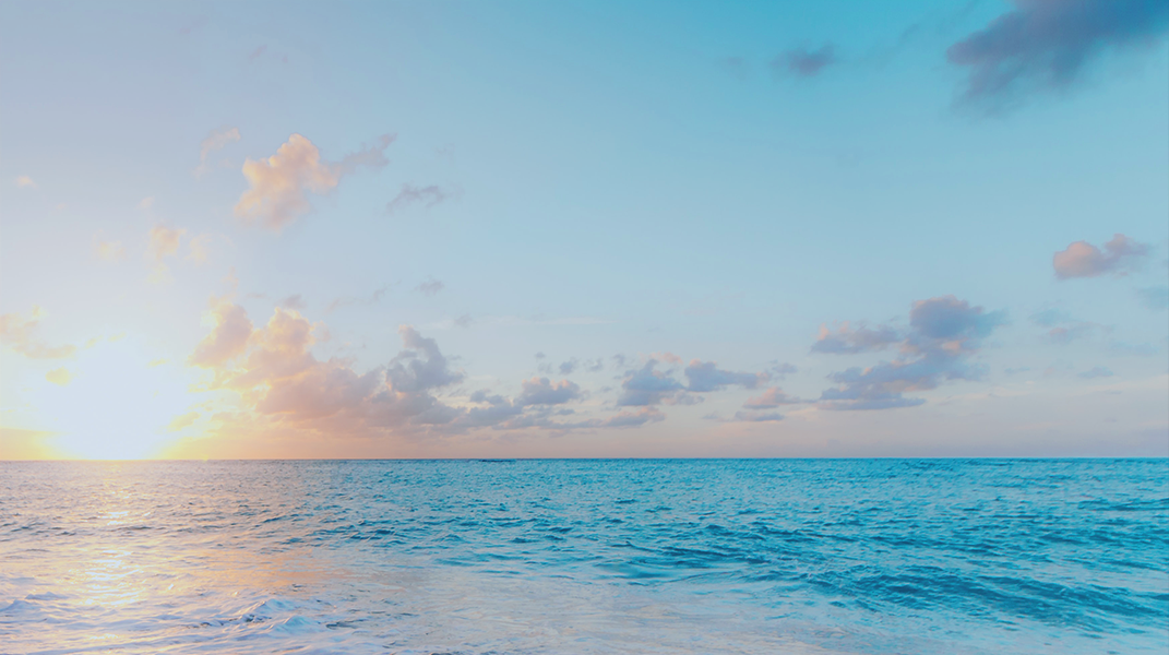 「因祂大能手扶持我」 訪 李志強弟兄