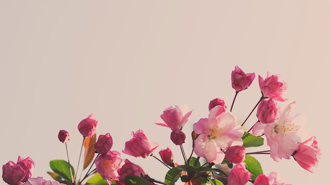 主耶穌的安慰 和美教會廖秀子姊妹