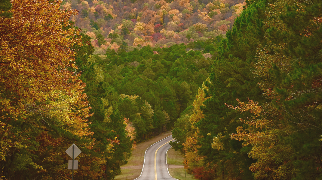 「走過死蔭幽谷」 訪 賴慧櫻長老娘（1）