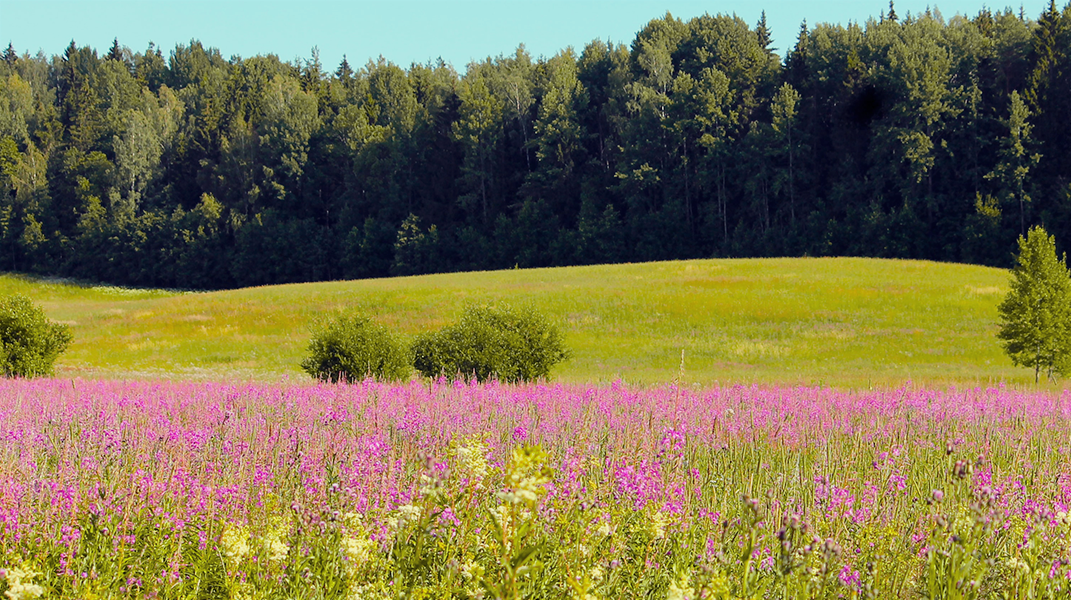 拉黑人生-主親顧 十全教會陳宜庭姊妹