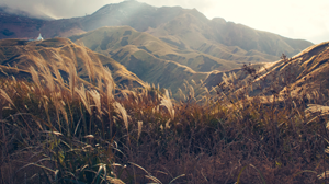 從風聞到眼見 北港教會劉逸平弟兄