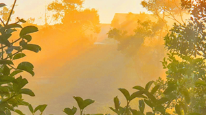 耶穌是我們的救主 新港教會林木榮弟兄