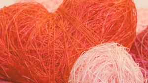 人生的本分愛的操練 北興教會林玉秀姊妹