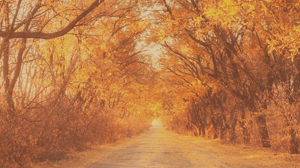 我的信主之路 北興教會林靖芳姊妹