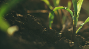 歸真與更新 二重教會林立豪弟兄