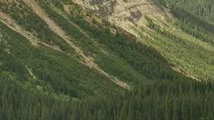 僵直性脊椎炎的信靠 內壢教會邱國榮弟兄