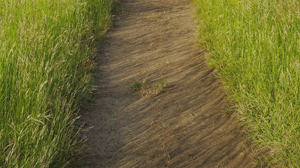 迥異信仰歸主的阿公 北興教會高淑芬姊妹