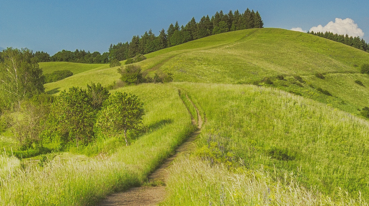 天路當一心往前走 北興教會高淑芬姊妹