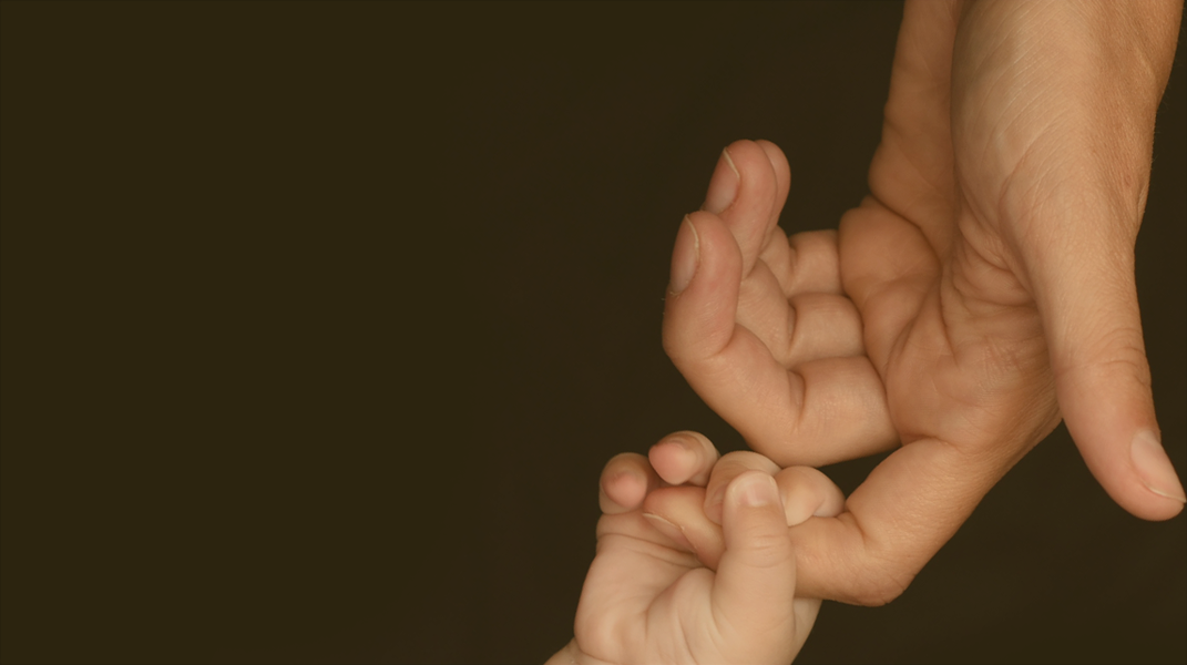 「寵物爸爸」——繪本分享