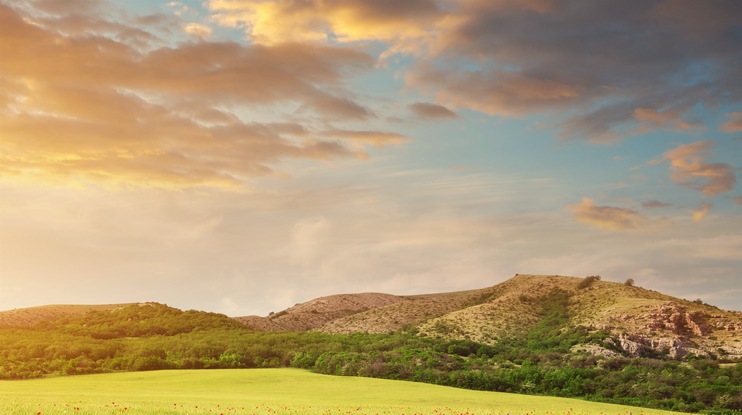 咱作伙來讀聖經  發現人生的青草地：來感受主的恩典與滿足！