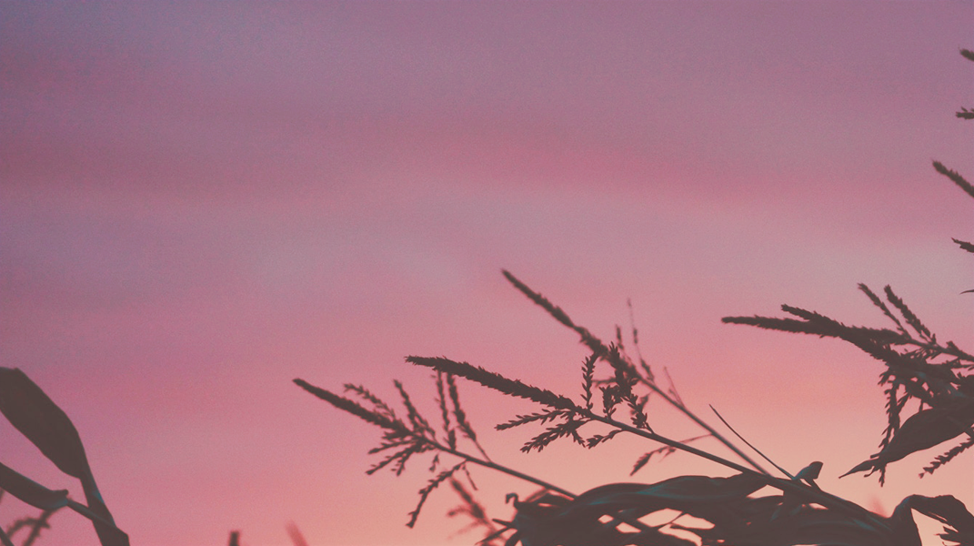 主挪去我一切的重擔 內新教會杜敏學姊妹