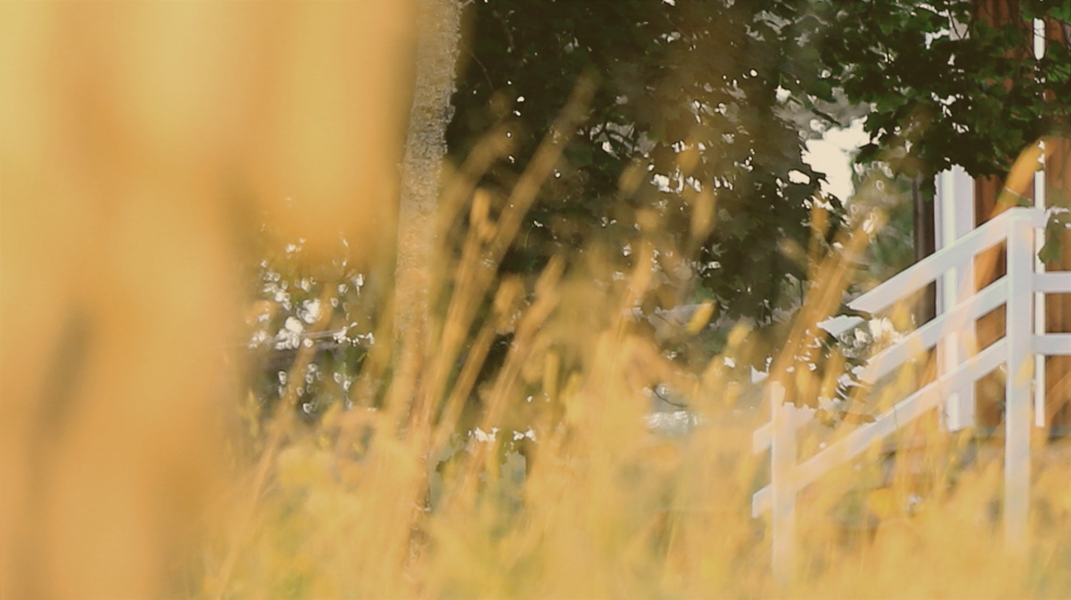 主是我患難中的幫助 訪四股教會王淑芳姊妹