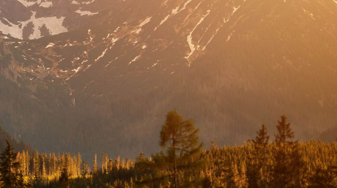耶穌是我堅固保障 十全教會周德法弟兄