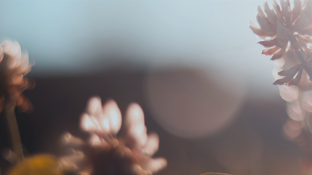 「死蔭幽谷中的救恩」 訪 官美玲姐妹（下）