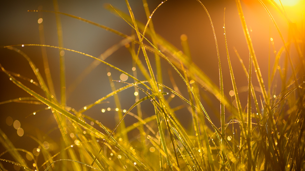 堅定信心恆久靠主 草港教會郭滿治姊妹