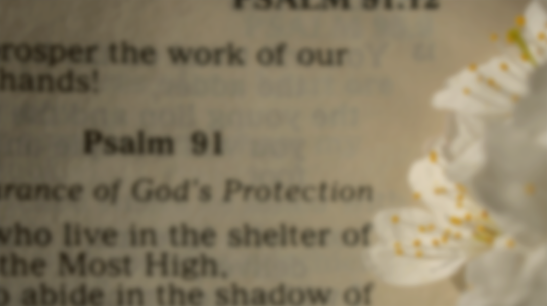 那奇妙的歸真路途 美國邁哈密教會何麗雲姊妹