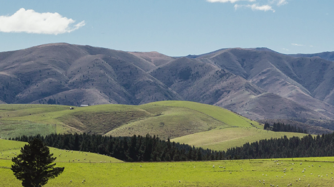 移民紐西蘭的信仰學習之路 斗六教會洪瑞琴姊妹