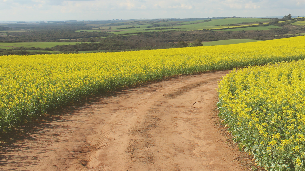 賜出人意外恩典的主 斗六教會洪瑞琴姊妹