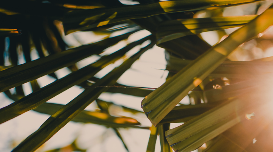 從憂鬱的黑暗中歸向光明 斗六教會伍育岑姊妹